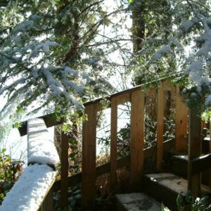 Orca View Cottage Sooke Exterior foto